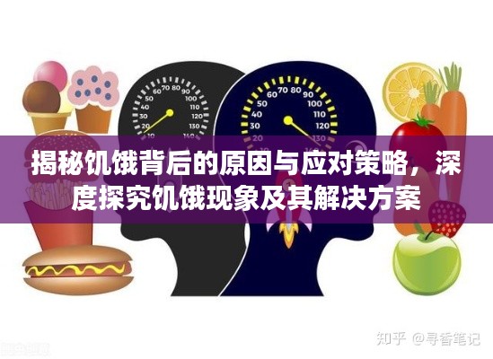 揭秘饥饿背后的原因与应对策略,深度探究饥饿现象及其解决方案