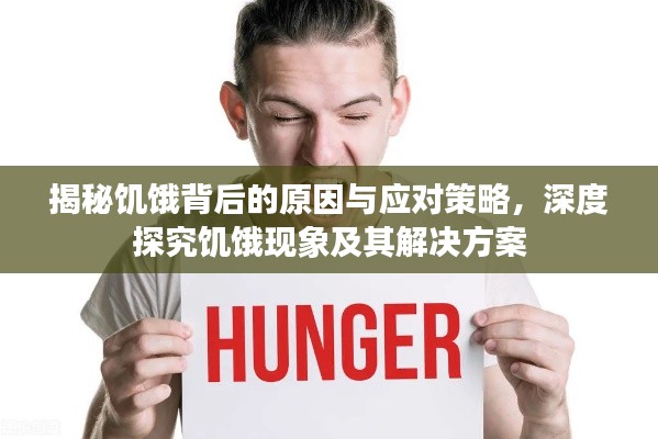 揭秘饥饿背后的原因与应对策略,深度探究饥饿现象及其解决方案