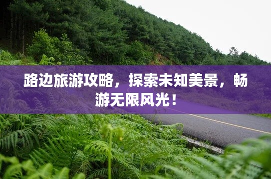 路边旅游攻略，探索未知美景，畅游无限风光！
