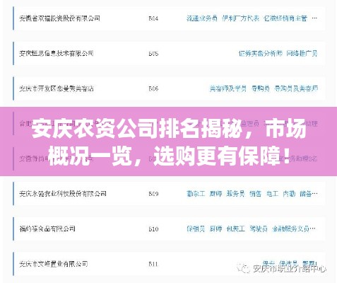 安庆农资公司排名揭秘,市场概况一览,选购更有保障!