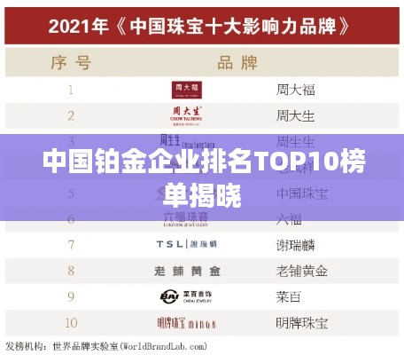 中国铂金企业排名TOP10榜单揭晓