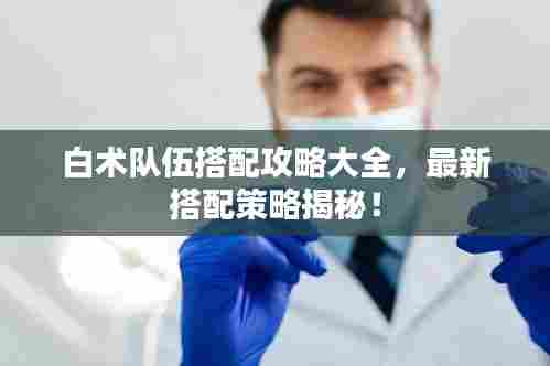 白术队伍搭配攻略大全,最新搭配策略揭秘!