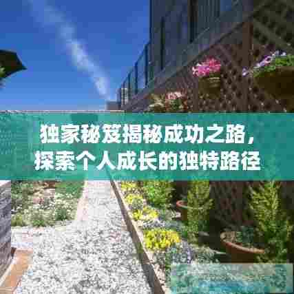 独家秘笈揭秘成功之路,探索个人成长的独特路径