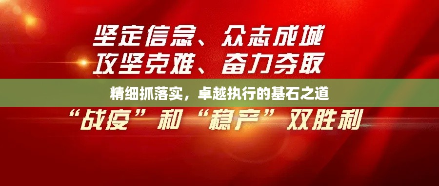 精细抓落实，卓越执行的基石之道