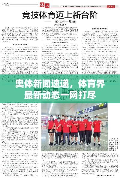 奥体新闻速递,体育界最新动态一网打尽