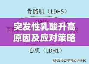 突发性乳酸升高原因及应对策略