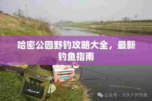 哈密公园野钓攻略大全，最新钓鱼指南