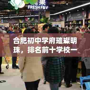 合肥初中学府璀璨明珠,排名前十学校一览