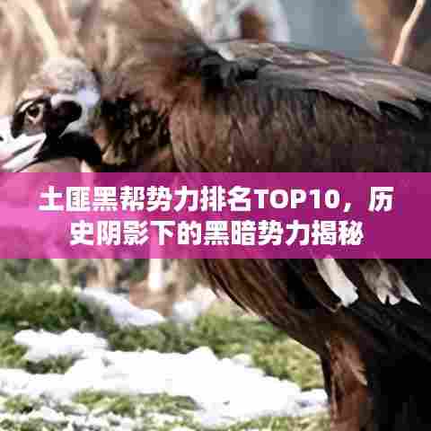 土匪黑帮势力排名TOP10,历史阴影下的黑暗势力揭秘