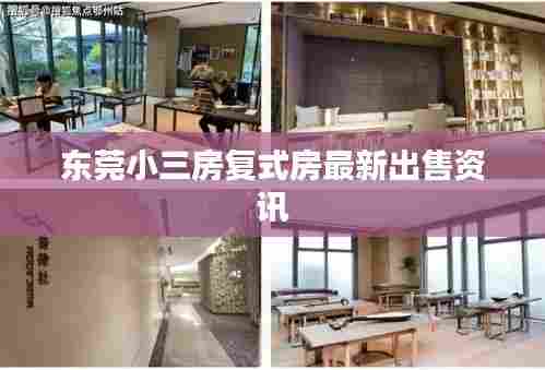 东莞小三房复式房最新出售资讯