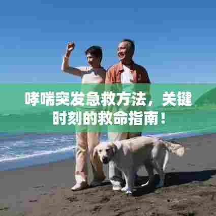 哮喘突发急救方法,关键时刻的救命指南!