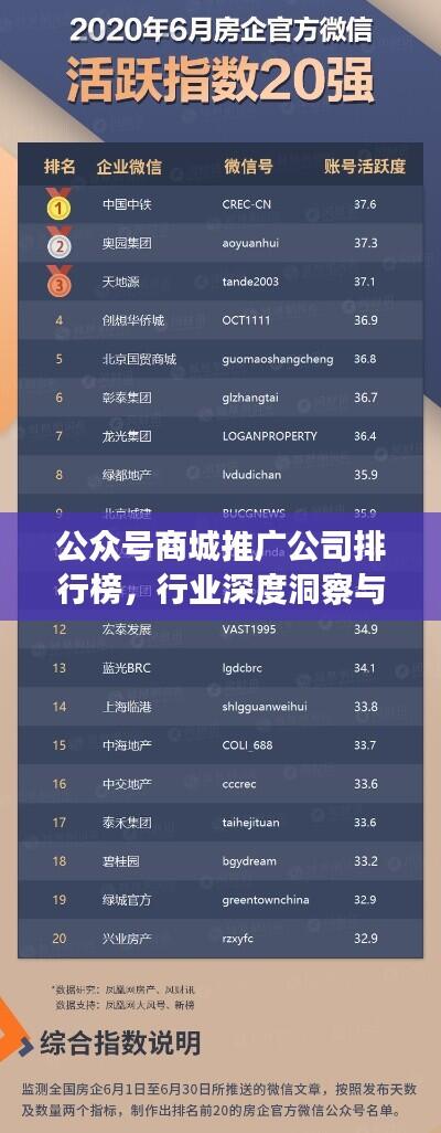 公众号商城推广公司排行榜，行业深度洞察与权威分析