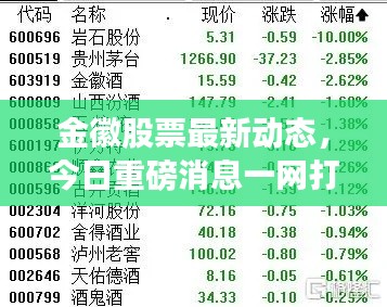金徽股票最新动态，今日重磅消息一网打尽！