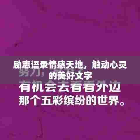 励志语录情感天地，触动心灵的美好文字