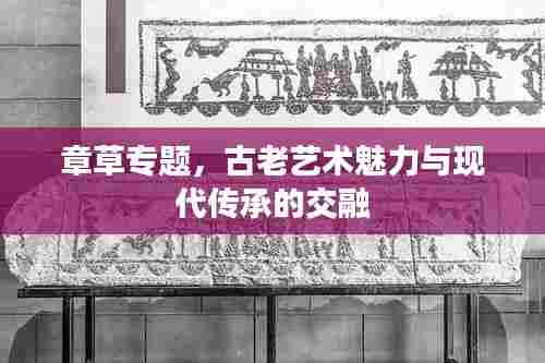 章草专题,古老艺术魅力与现代传承的交融