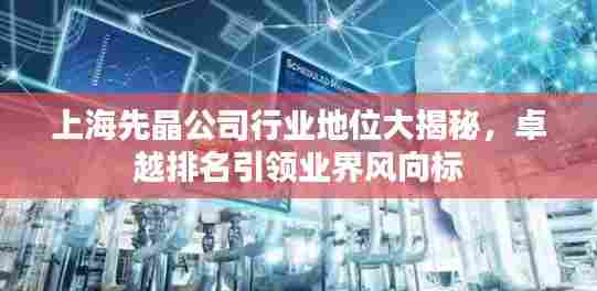 上海先晶公司行业地位大揭秘,卓越排名引领业界风向标