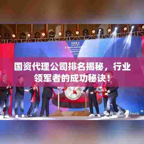 国资代理公司排名揭秘，行业领军者的成功秘诀！
