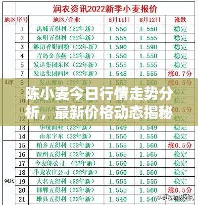 陈小麦今日行情走势分析,最新价格动态揭秘
