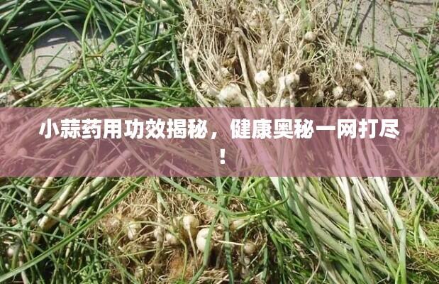 销声匿迹 第5页