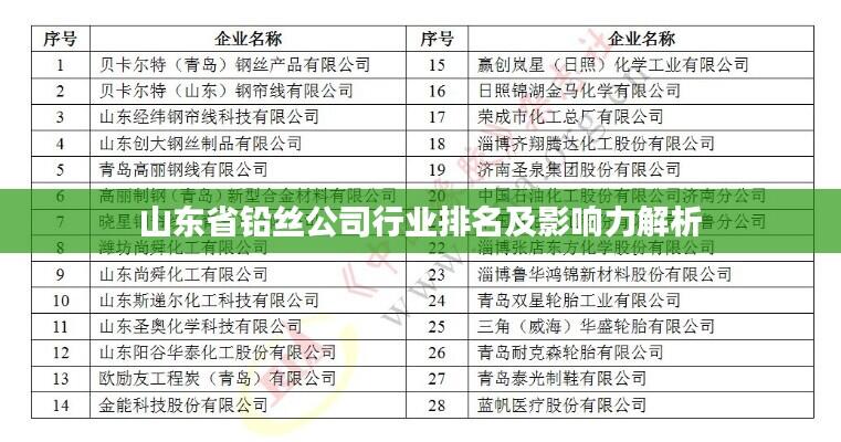 山东省铅丝公司行业排名及影响力解析
