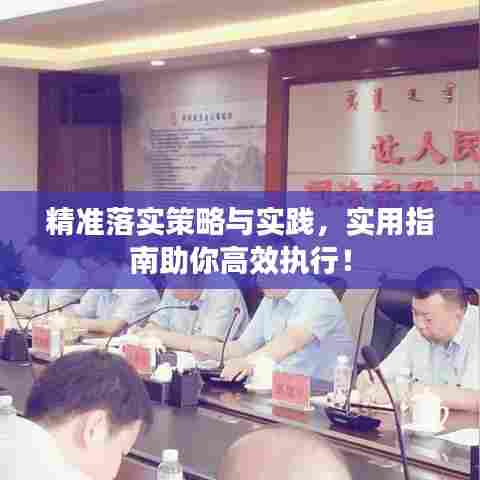 精准落实策略与实践，实用指南助你高效执行！