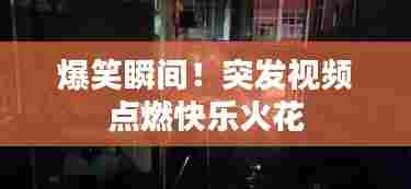 爆笑瞬间!突发视频点燃快乐火花
