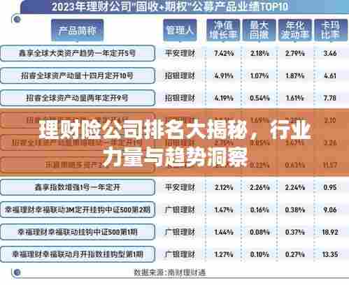理财险公司排名大揭秘，行业力量与趋势洞察