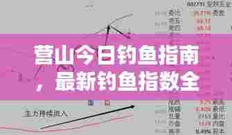 营山今日钓鱼指南,最新钓鱼指数全面解析