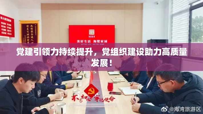 党建引领力持续提升，党组织建设助力高质量发展！