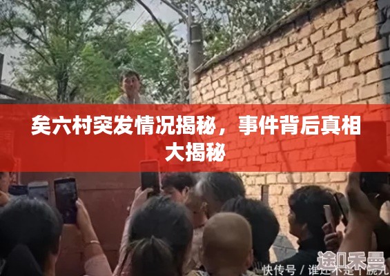 矣六村突发情况揭秘,事件背后真相大揭秘