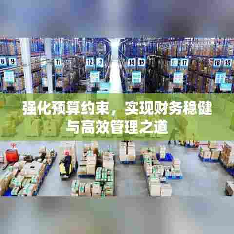 强化预算约束,实现财务稳健与高效管理之道