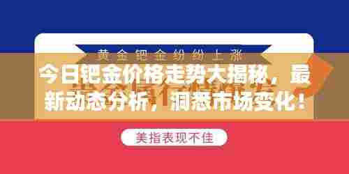 今日钯金价格走势大揭秘,最新动态分析,洞悉市场变化!