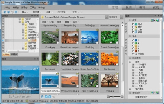 acdsee官方下载,深度数据解析应用|1440p1_v10.685