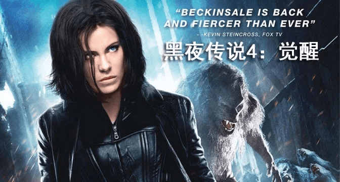 旅游精灵激活码使用跟单机版黑夜传说攻略,可靠数据解释定义&amp;SE版_v9.752