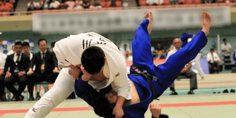 86版本柔道武器与云端官方软件下载,科学依据解释定义-7DM_v1.860